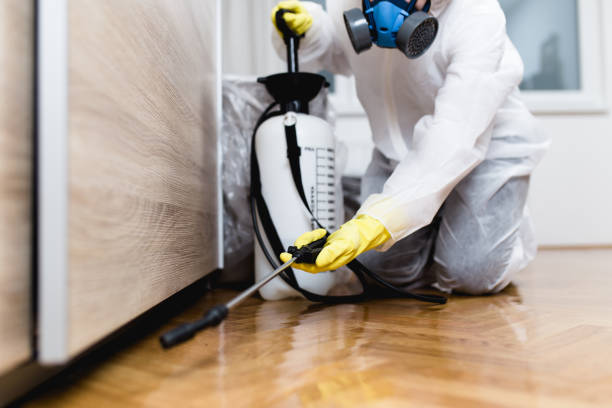Best Best Pest Control Companies  in El Segundo, CA