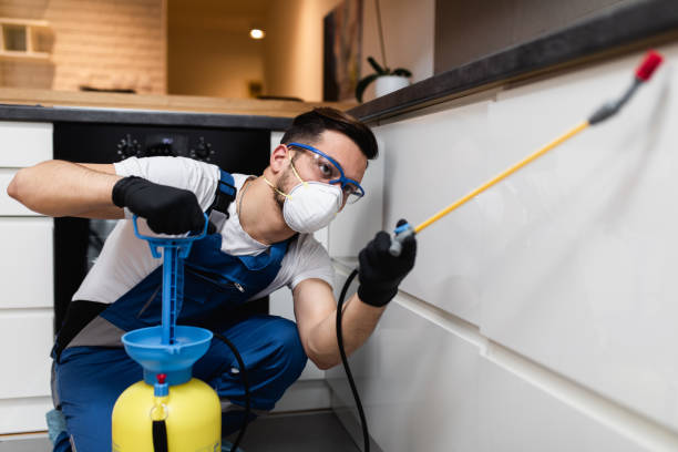 Reliable El Segundo, CA Pest Control Solutions