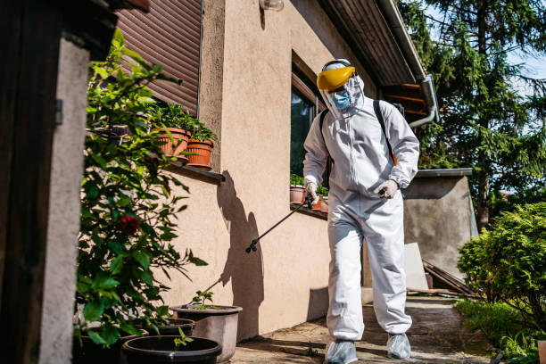 Pest Prevention Services in El Segundo, CA