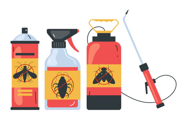 Flea Control Services in El Segundo, CA